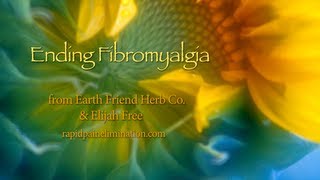 Ending Fibromyalgia [upl. by Nnahgaem]