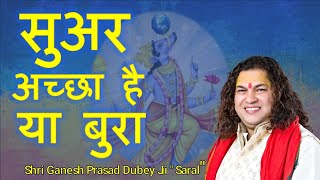 suar aacha ya burashri ganesh prasad dubey ji saral dubey [upl. by Eruza619]