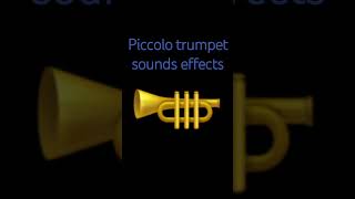 Piccolo trumpet sounds effects [upl. by Stevenson]