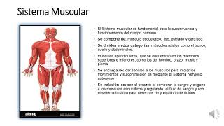 LOS SISTEMAS DEL CUERPO HUMANO [upl. by Leugimesoj]