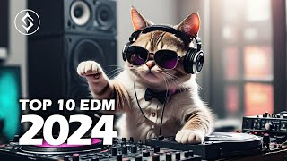 TOP 10 EDM Music 2024 🎧 [upl. by Bendicta]