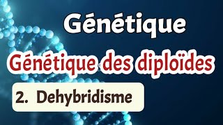 Génétique des diploïdes déterminer la relation de dominance entre les allèles de chaque couple [upl. by Thacker]