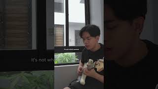 bandaids cover shorts keshi cover music guitar [upl. by Leong574]