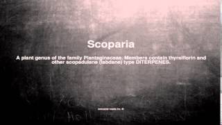 Medical vocabulary What does Scoparia mean [upl. by Draper638]