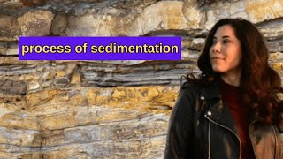 process of sedimentation  formation of process of sedimentation  types of process of sedimentation [upl. by Kreiner769]