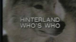 Hinterland Whos Who  Wolf [upl. by Stormi]