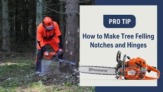 How To Make Tree Felling Notches And Hinges With A Chainsaw  Husqvarna [upl. by Marjana]