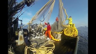 Alaska Fisherman 2016  Purse Seining [upl. by Rehpotsrhc295]