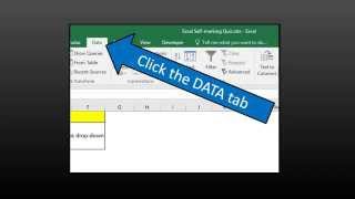 A Self marking Quiz using Microsoft Excel [upl. by Eimrots]