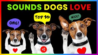 Top 10 Sounds Dogs Love GUARANTEED [upl. by Browning]