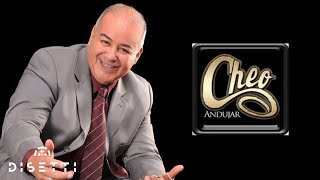 Cheo Andujar  Vamos A Darnos Tiempo Audio Oficial  Salsa Romántica [upl. by Kristianson]