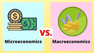 Micro Vs Macro Economics [upl. by Sorci]