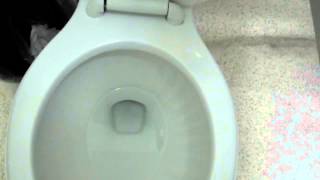 4313 2010 Glacier Bay Pressure Assist Toilet [upl. by Aneeled92]