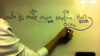 Acetal Formation from an Aldehyde  Mechanism [upl. by Assirahs]