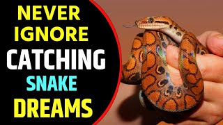 Catching Snake in Dream Meaning  Dreaming of Catching Snake Catching Snake in Dream Interpretation [upl. by Swayne]