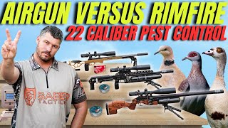 AIRGUN HUNTING VERSUS RIMFIRE HUNTING I 22 CALIBER PEST CONTROL WITH AIRGUN AND RIMFIRE [upl. by Sarene2]