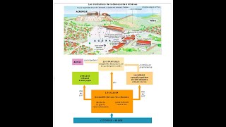 Cours dhistoire de seconde 3  La démocratie athénienne 2 [upl. by Jaela263]