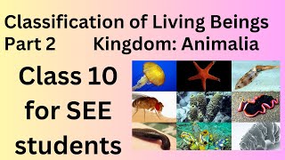 Classification of Living Beings Class10SEE  Part 2  Kingdom Animalia Science and Technology [upl. by Blank]