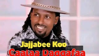 Caalaa Daggafaa New Ethiopian Oromo music 2024 [upl. by Nadler]