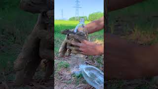 Forest lifehack with Water bottle 🔥 camping survival bushcraft outdoors lifehack [upl. by Fraze]