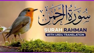 SURAH RAHMAN Ep 28 TURJUMA KI SATH QARE AL ABDUL BASIT [upl. by Anirat]