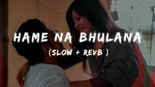 Hame na bhulana sajan hume na bhulana slow  revb lofi song [upl. by Tnafni577]