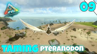 taming pteranodon  ARK survival evolved Mobile  episode 9  ark [upl. by Tranquada]