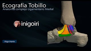 ANATOMIA COMPLEJO LIGAMENTARIO MEDIAL DEL TOBILLO [upl. by Tandi]