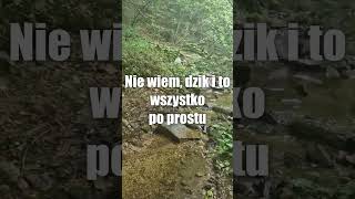 UWAŻAJ na STRUMYKI w lesie 💦  GRUPA NOMAD [upl. by Arahsak406]