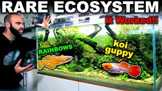 This ECOSYSTEM Aquarium REALLY WORKS no water changes [upl. by Anaitak]