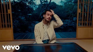 Rex Orange County  Finally Video [upl. by Eima787]