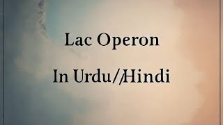 Regulation Of lac Operon  Regulation of Gene Expression  In Urdu or Hindi 🆗 [upl. by Anairol]