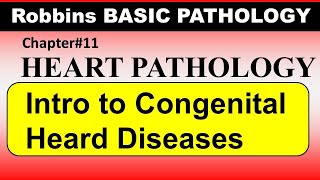 Chp11 Robbins Patho  Heart Pathology  Introduction to Congenital Heart Diseases [upl. by Lesoj]