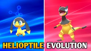 How To Evolve Helioptile Into Heliolisk In Pokemon Sword amp Shield  Galar Pokedex [upl. by Procora]