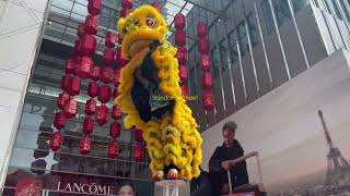 PreCNY 2024  马来西亚玄龙 Malaysia Xuan Long Acrobatic Lion Dance at Pavilion Kuala Lumpur CNY Launch [upl. by Alisen]