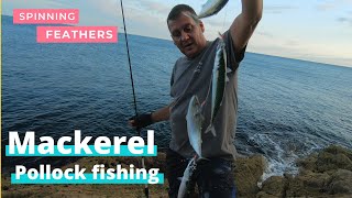 Mackerel and Pollock fishing sea fishing north wales [upl. by Rehtae486]