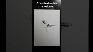 How to draw a bird quick and easy in real time shorts cute funny birds animals drawing art [upl. by Nowujalo]