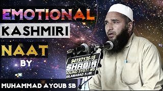 KASHMIRI NAAT  MOHAMMAD AYOUB SHOPIANI  NEW NAAT VIDEO  SCHOLARS OF KASHMIR [upl. by Annoel195]