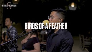 Billie Eilish  Birds of the Feather Live Cover [upl. by Revlis57]