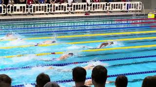 Popovici Stjepanovic  200 Free AFinal  Euro Meet 2024 [upl. by Ednarb]