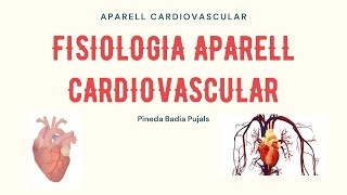 Fisiologia aparell cardiovascular [upl. by Mason]