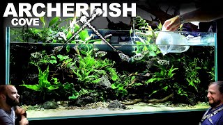 AMAZING 4ft Archerfish  Paludarium  Aquaterrarium  Aquarium EPIC BUILD [upl. by Giacomo]