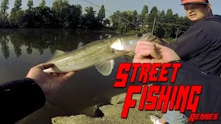 Street Fishing 9 Peche du brochet et du sandre au leurre  Gopro HD [upl. by Erdne]