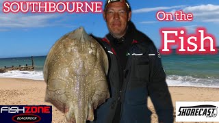 SOUTHBOURNE SEA FISHING  WITH SUCCESS [upl. by Cave]