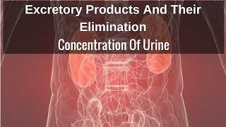 Concentration Of Urine [upl. by Bristow]