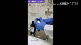 Thick and Thin BLOOD FILM staining by Giemsa stain طريقة تحضير الصبغه وصبغ مسحة الدم [upl. by Kev]