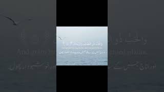 Al Quran Recitation  Surat ul Rahman  islamicvideo quranrecitation islamictext birds birdso [upl. by Enayd]