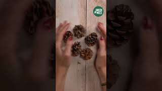 DIY Noël  Guirlandes faites maison 🎄 [upl. by Enavi724]