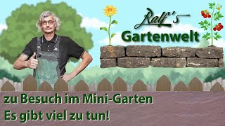 Der MiniGarten I Ralf´s Gartenwelt I Es gibt viel zu tun [upl. by Carlota]