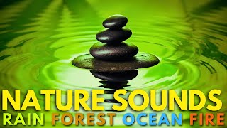 Relaxing Music with Nature Sounds Rain Forest Ocean Fireplace [upl. by Scully]